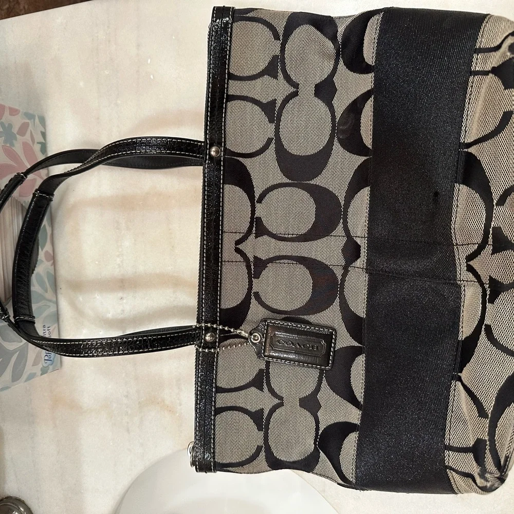 Coach Gray Leather Interior - Picture 6 of 7